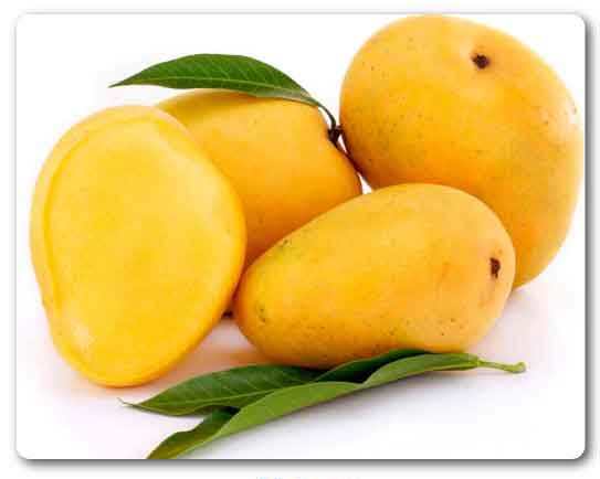  Telangana State fruit, Mango, Maamidi Pandu, Mangifera indica